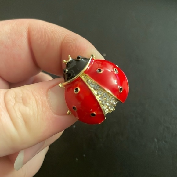 Macys ladybug 🐞 pin brooch - Picture 1 of 2